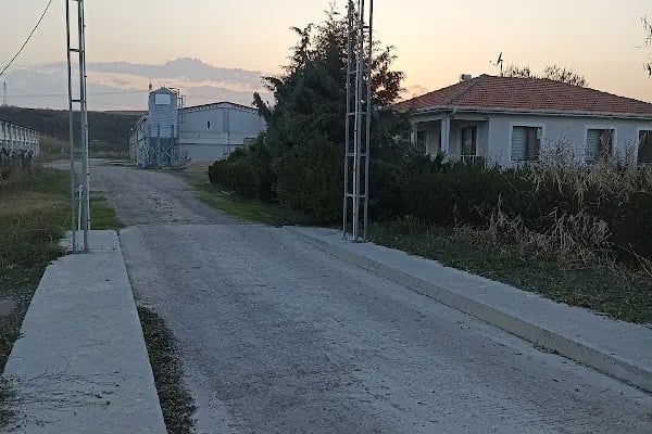İHYA PİLİÇ - Resim 5