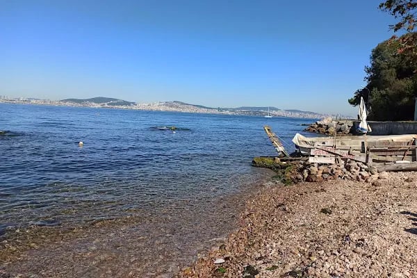 Kadıköy Kedi Oteli&Pet Shop - Resim 9