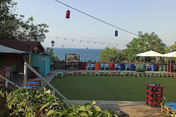 Kadıköy Kedi Oteli&Pet Shop - Resim 13