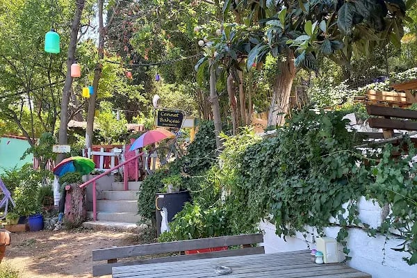 Kadıköy Kedi Oteli&Pet Shop - Resim 4