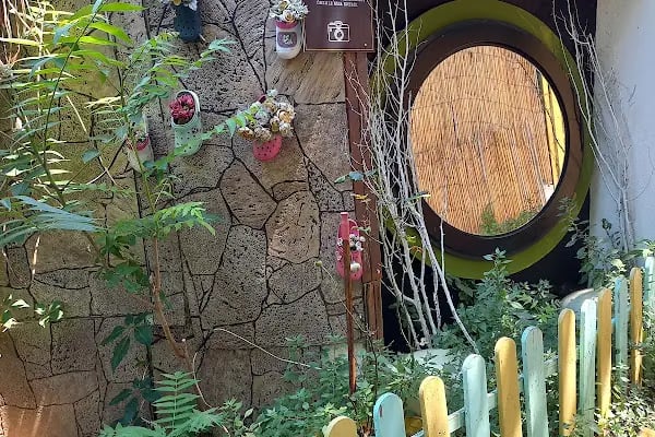 Kadıköy Kedi Oteli&Pet Shop - Resim 12