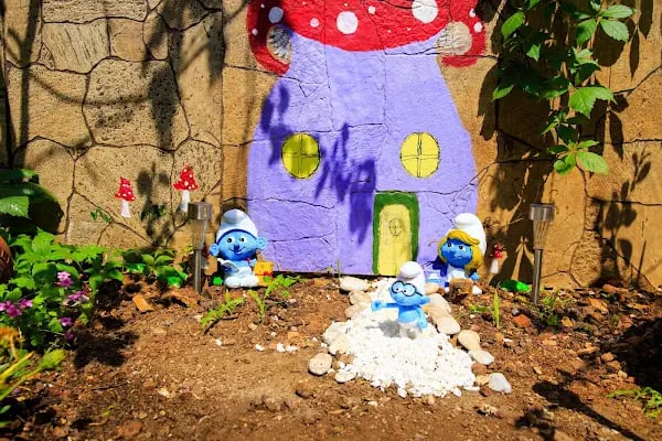 Kadıköy Kedi Oteli&Pet Shop - Resim 11