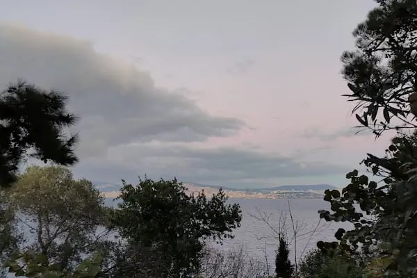 Kadıköy Kedi Oteli&Pet Shop - Resim 15