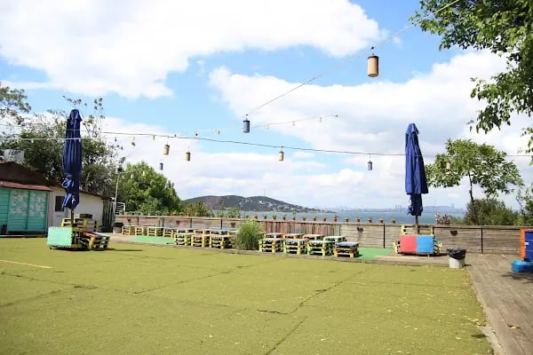 Kadıköy Kedi Oteli&Pet Shop - Resim 16