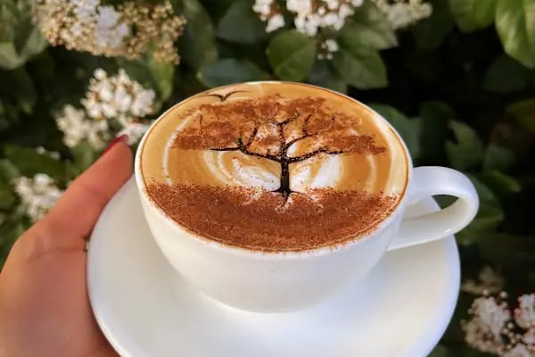 Quench Cafe - Resim 7