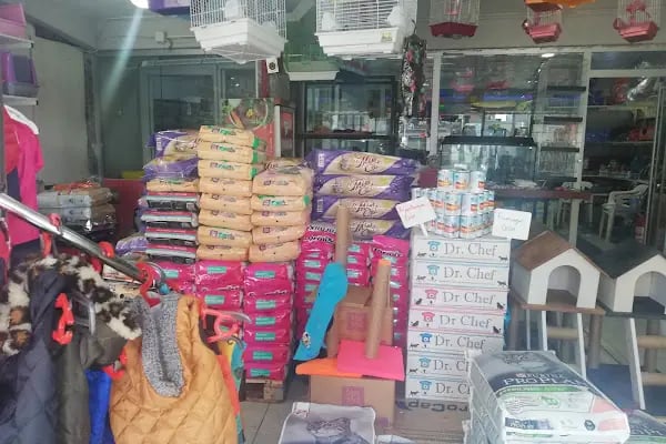 Bornova Chakie Petshop Mağaza - Resim 14