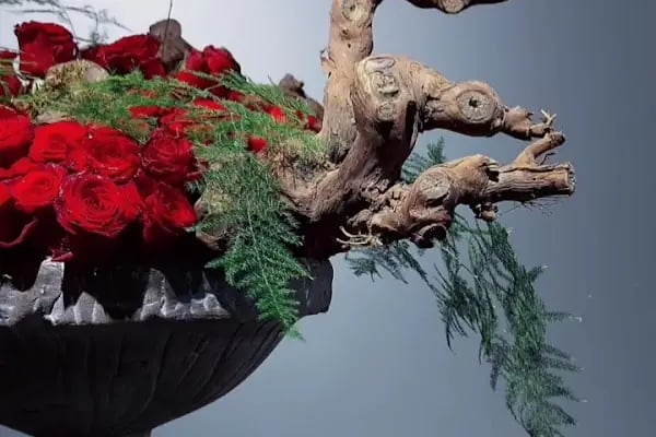 MOR SALKIM FLOWER'S - Resim 6