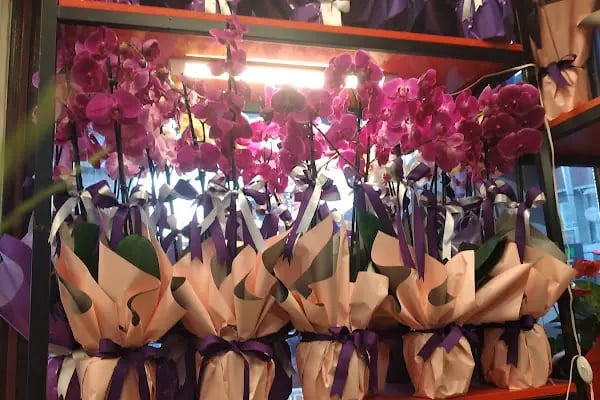 MOR SALKIM FLOWER'S - Resim 4
