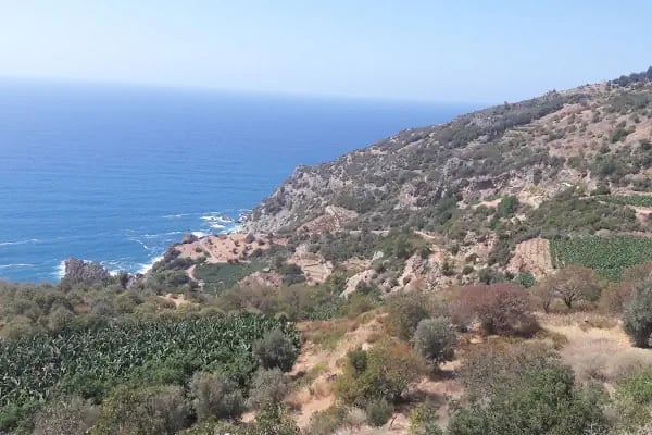 Yakacık Mehmet Oğuz Galadran İlköğretim Okulu - Resim 4