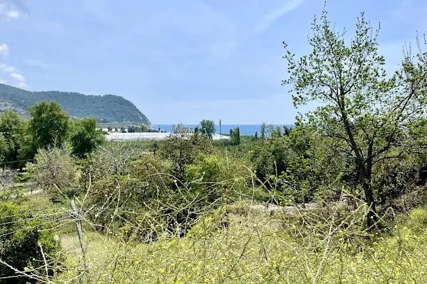 Yakacık Mehmet Oğuz Galadran İlköğretim Okulu - Resim 8