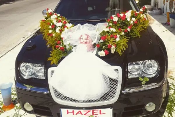 YAĞIZ ÇİÇEKÇİLİK - Resim 13