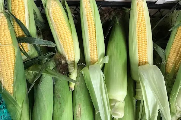 Yayla Grup Süpermarketleri - Resim 15
