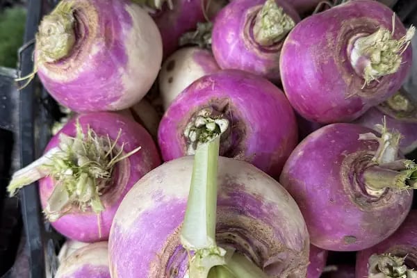 Yayla Grup Süpermarketleri - Resim 14