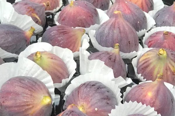 Yayla Grup Süpermarketleri - Resim 18