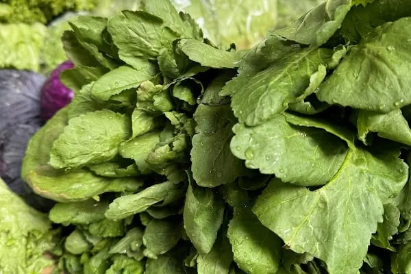 Yayla Grup Süpermarketleri - Resim 11