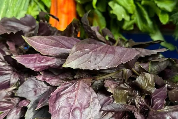 Yayla Grup Süpermarketleri - Resim 3