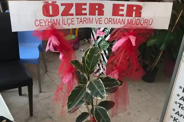 Ceyhan Şeyma Çiçekçilik - Resim 14