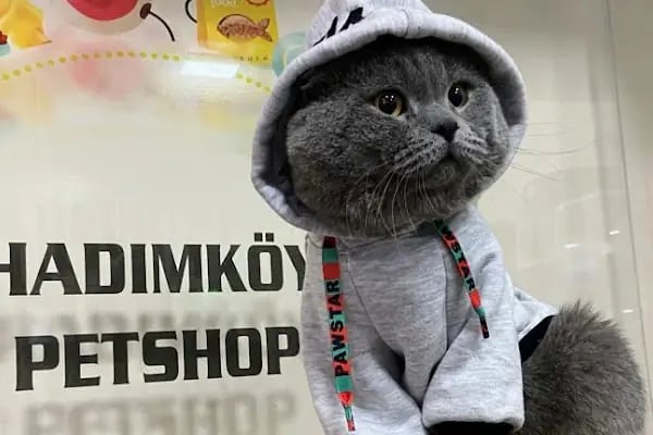 Hadımköy Petshop - Resim 4