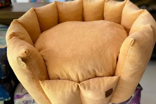 Hadımköy Petshop - Resim 18