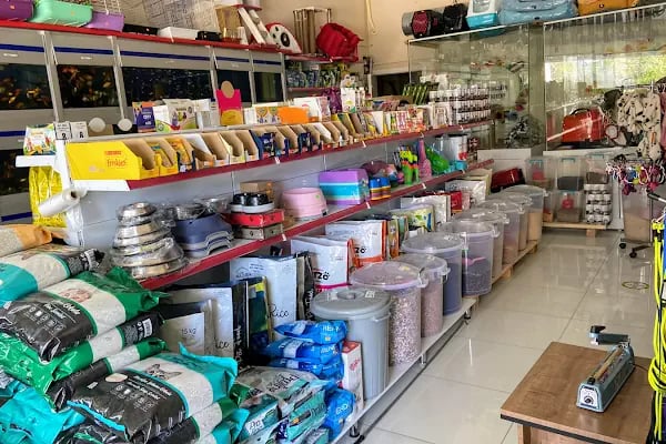 Hadımköy Petshop - Resim 14