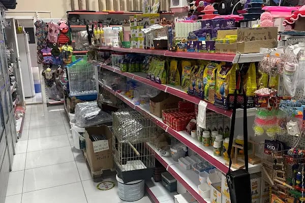 Hadımköy Petshop - Resim 19