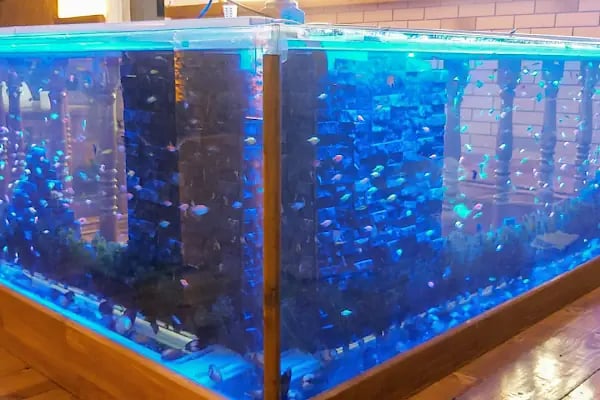 Hadımköy Petshop - Resim 16
