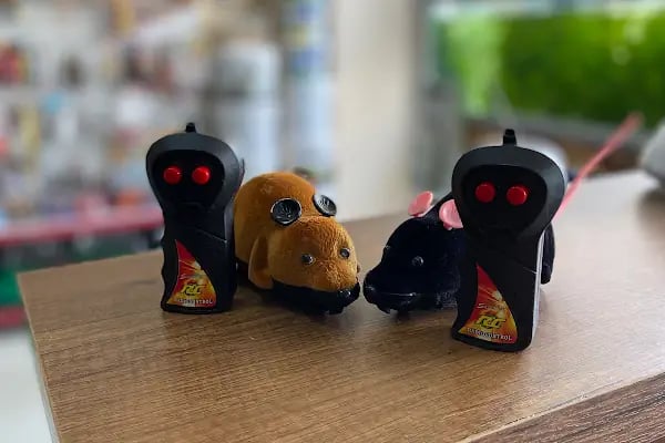 Hadımköy Petshop - Resim 12
