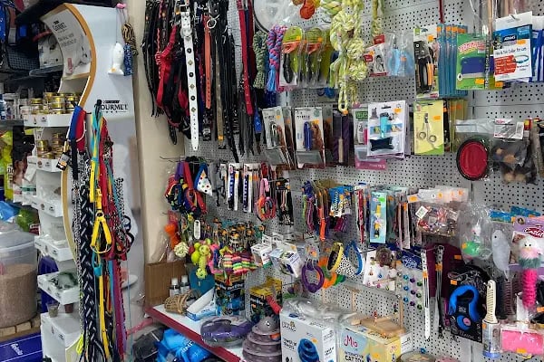 Hadımköy Petshop - Resim 11
