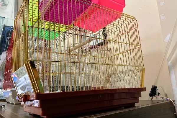 Hadımköy Petshop - Resim 6