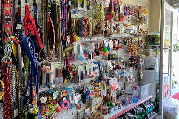Hadımköy Petshop - Resim 8