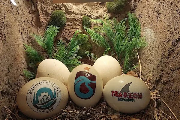 Trabzon Kuş Parkı - Resim 13