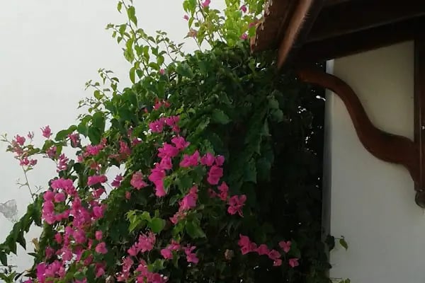 Bizim Tepe Sitesi - Resim 5