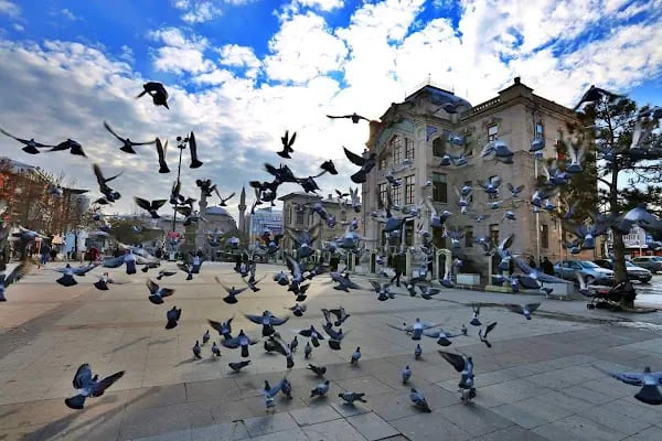 Aksaray Valiliği - Resim 19