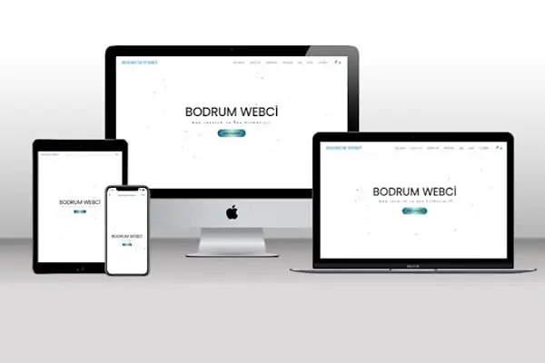 Bodrum Webci - Bodrum Web Tasarım ve Seo Hizmetleri - Resim 2