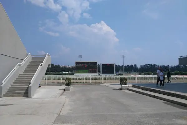 Koşu - Resim 4