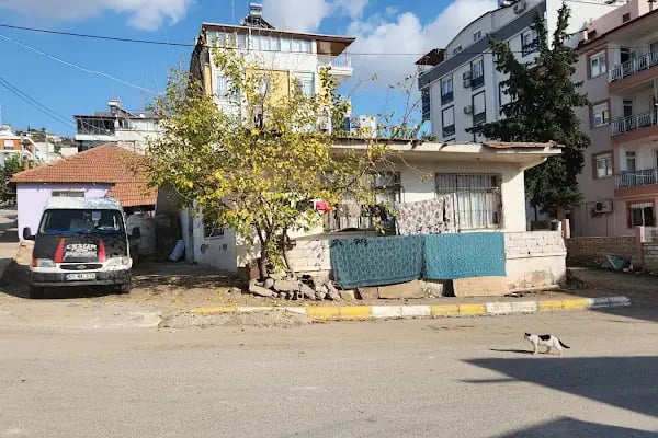 Antalya Rent a Car Asel araç kiralama Antalya araç kiralama Asel Rent a Car Арач Киралама - Resim 13
