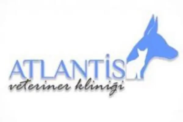 Atlantis Veteriner Kliniği - Resim 13