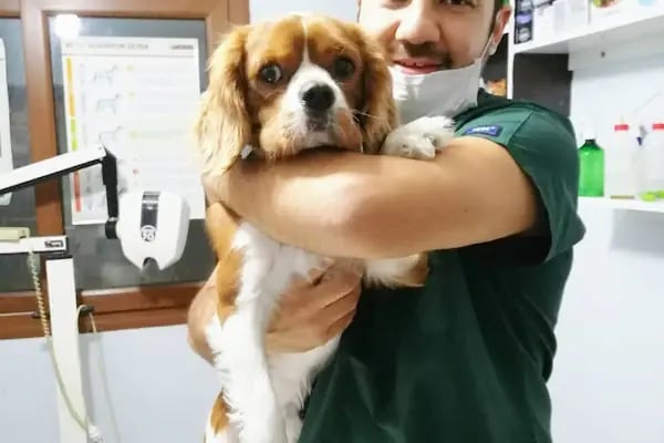 Mutlu Çalış Veteriner Kliniği / Veteriner İzmir - Resim 17