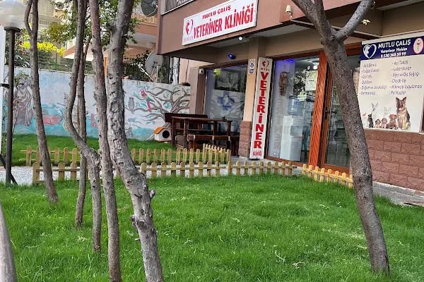 Mutlu Çalış Veteriner Kliniği / Veteriner İzmir - Resim 2