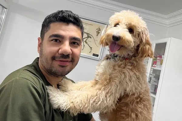 Mutlu Çalış Veteriner Kliniği / Veteriner İzmir - Resim 13