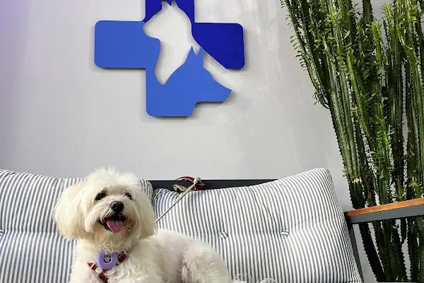 Mutlu Çalış Veteriner Kliniği / Veteriner İzmir - Resim 19