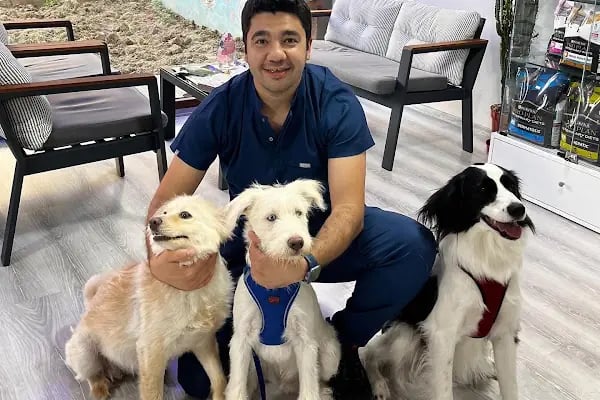 Mutlu Çalış Veteriner Kliniği / Veteriner İzmir - Resim 10