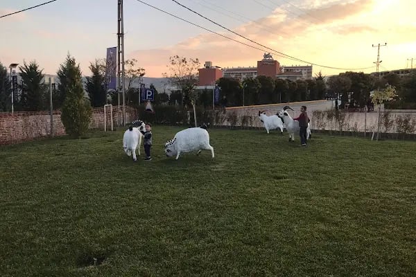 Hitit Ayaş Termal Sağlık Merkezi ve Tatil Köyü - Resim 9