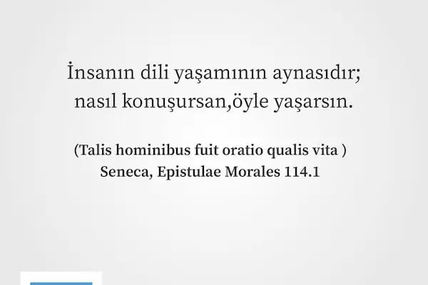 Akademi İstanbul Psikoloji Enstitüsü Diyarbakır Şubesi - Resim 6