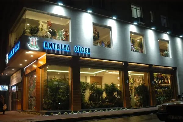 Antalya Çiçek - Resim 3