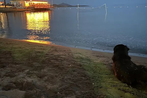 Yahşi Yelken Cafe, Plaj - Bodrum Belediye A.Ş. - Resim 9