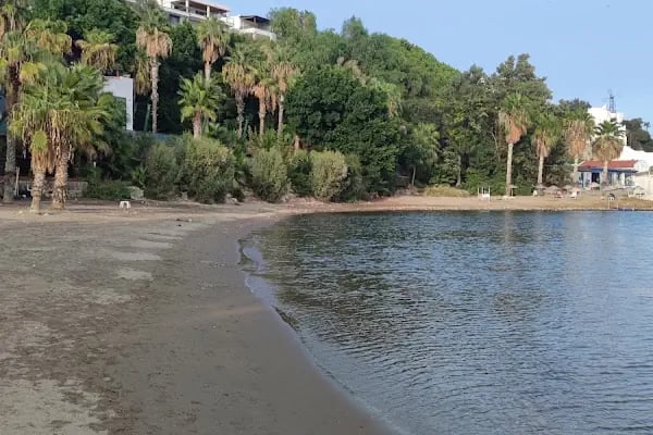 Yahşi Yelken Cafe, Plaj - Bodrum Belediye A.Ş. - Resim 16