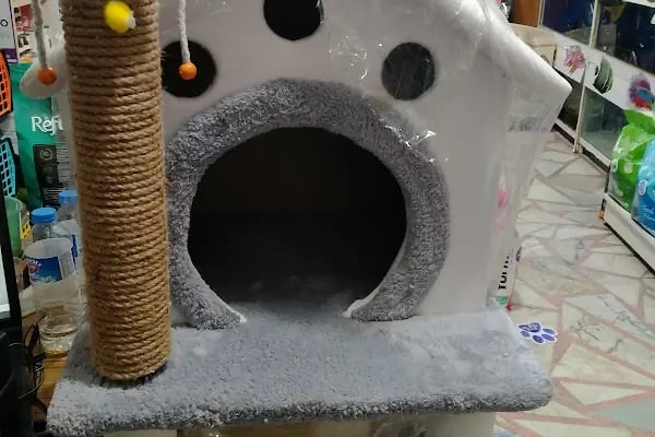 Doğa Petshop - Resim 7
