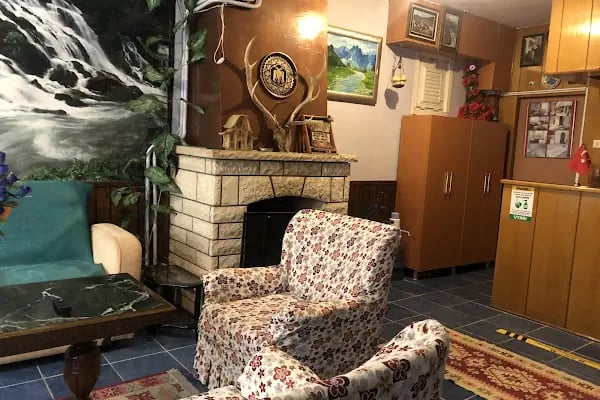 CAN THERMAL KAPLICA APART OTEL - Resim 9