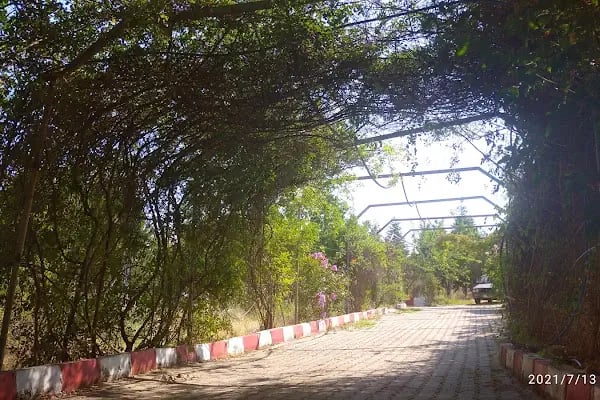 Manisa Ruh Sağlığı ve Hastalıkları Hastanesi - Resim 9